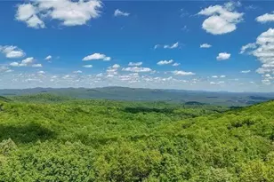 1093 Lower Sassafras Pkwy, Jasper, GA 30143 - Photo 28