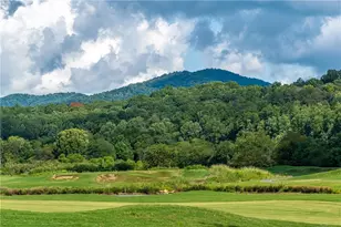 1250 Owen Glen Dr, Blairsville, GA 30512 - Photo 96