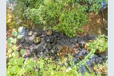 1250 Owen Glen Drive, Blairsville, GA 30512 - Photo 92