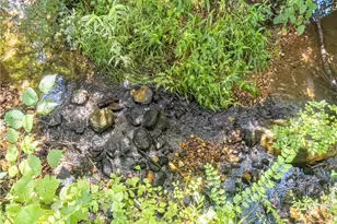 1250 Owen Glen Dr, Blairsville, GA 30512 - Photo 92