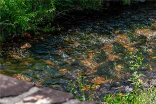 1250 Owen Glen Dr, Blairsville, GA 30512 - Photo 108