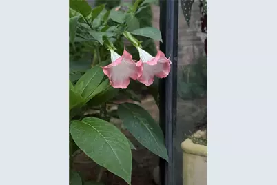 94 Howell Street NE, Atlanta, GA 30312 - Photo 26