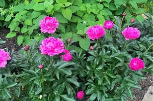 94 Howell St NE, Atlanta, GA 30312 - Photo 24
