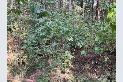 69 Wilbanks Way, Commerce, GA 30529 - Photo 20