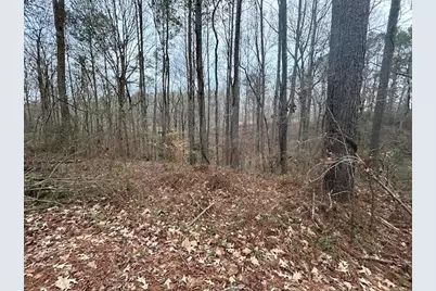 1089 Damascus Drive, Ball Ground, GA 30107 - Photo 6