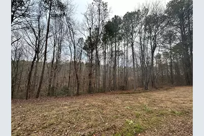 1089 Damascus Drive, Ball Ground, GA 30107 - Photo 16