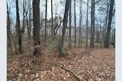 1089 Damascus Drive, Ball Ground, GA 30107 - Photo 8