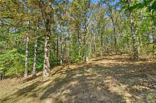 314 Calusa Pl, Ball Ground, GA 30107 - Photo 38