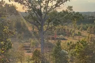 1590 Buttermilk Rd SW, Cave Spring, GA 30124 - Photo 1