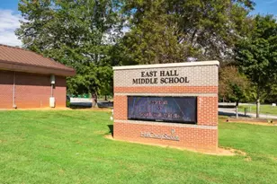 3253 Ryker Rd, Gainesville, GA 30507 - Photo 28