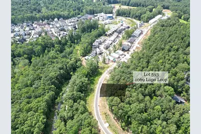 1069 Lupo Loop, Chattahoochee Hills, GA 30268 - Photo 2