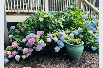 1370 Old Winder Jefferson Highway, Jefferson, GA 30549 - Photo 54