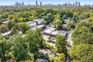 989 Amsterdam Ave NE, Atlanta, GA 30306 - Photo 48