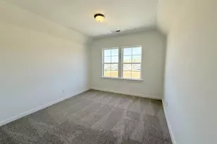 71 Cochin Dr, Statham, GA 30666 - Photo 20