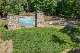 5587 Spring St, Flowery Branch, GA 30542 - Photo 54