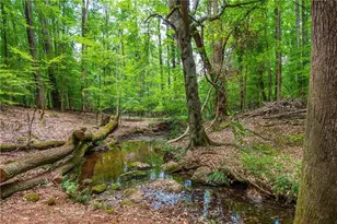 12842 Waterside Dr, Alpharetta, GA 30004 - Photo 60