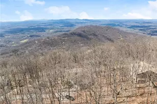 28 Little Hendricks Mountain Cir, Jasper, GA 30143 - Photo 50