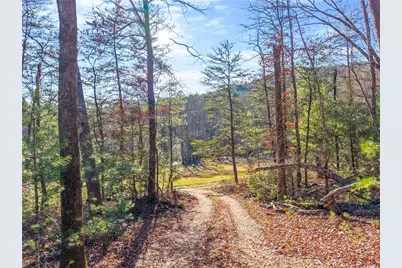 121 Waterfalls Way, Clarkesville, GA 30523 - Photo 12