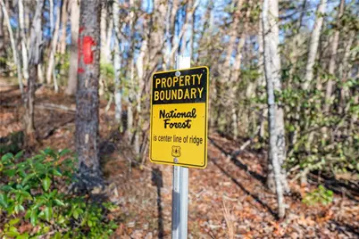 121 Waterfalls Way, Clarkesville, GA 30523 - Photo 52