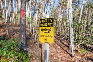 121 Waterfalls Wy, Clarkesville, GA 30523 - Photo 52