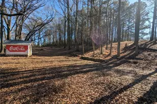 2864 GA-100, Bowdon, GA 30108 - Photo 20