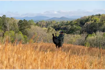 0 Dry Hollow Road, Dahlonega, GA 30533 - Photo 4