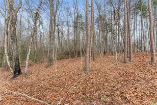 206 Shoals Way, Clarkesville, GA 30523 - Photo 32