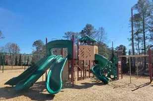 339 Friendship Oak Way Ln, Hampton, GA 30228 - Photo 42