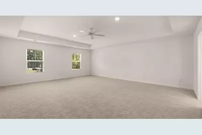 314 Friendship Oak Way, Hampton, GA 30228 - Photo 14