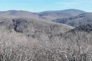 275 Andes Ridge, Ellijay, GA 30536 - Photo 1