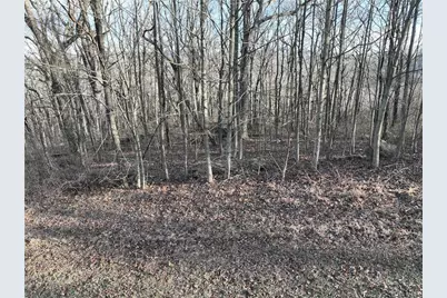 275 Andes Ridge, Ellijay, GA 30536 - Photo 2