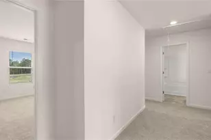 326 Friendship Oak Wy, Hampton, GA 30228 - Photo 22
