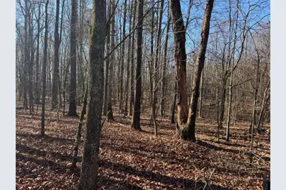 6601 Hog Mountain Hwy - Hwy 53, Bogart, GA 30622 - Photo 4