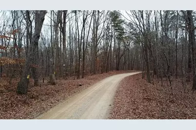 00 Treat Mountain Road, Cedartown, GA 30125 - Photo 6