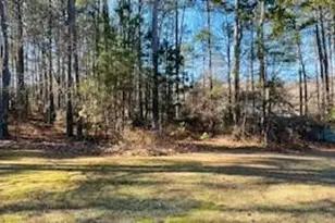 1468 Sierra Ridge Pl, Loganville, GA 30052 - Photo 20