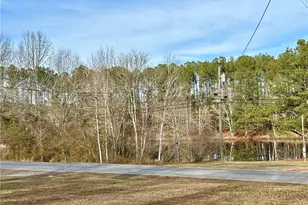 3232 Bevis Rd, Franklin, GA 30217 - Photo 32