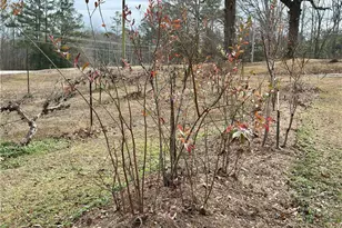 3232 Bevis Rd, Franklin, GA 30217 - Photo 30