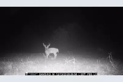 1075 Davis Road, Carrollton, GA 30116 - Photo 4