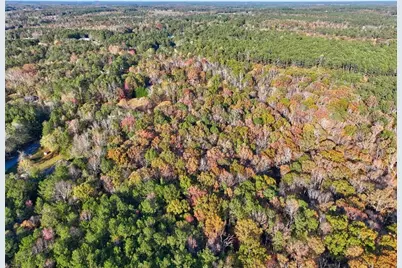 0 Browning Shoals Road, Social Circle, GA 30025 - Photo 2