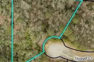 1047 Nugget Ct, Dahlonega, GA 30533 - Photo 40