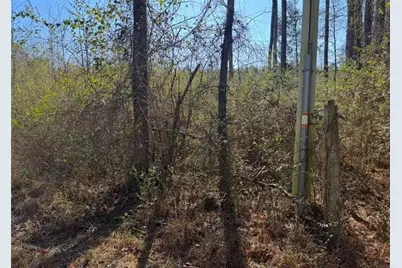 0 Norton Road, Kingston, GA 30145 - Photo 1