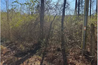 0 Norton Road, Kingston, GA 30145 - Photo 2