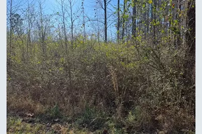 0 Norton Road, Kingston, GA 30145 - Photo 4