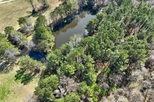 205 Hwy 186 Tract 1, Good Hope, GA 30641 - Photo 20