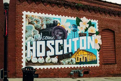 369 Scarlett Rose Way, Hoschton, GA 30548 - Photo 134