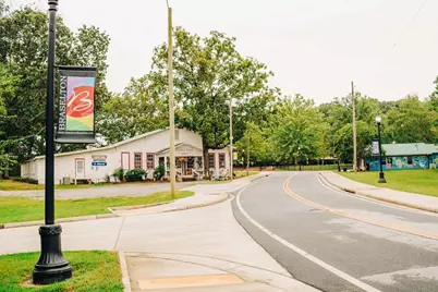 369 Scarlett Rose Way, Hoschton, GA 30548 - Photo 82