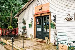 368 Scarlett Rose Way, Hoschton, GA 30548 - Photo 54