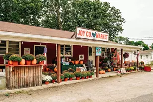 368 Scarlett Rose Way, Hoschton, GA 30548 - Photo 80