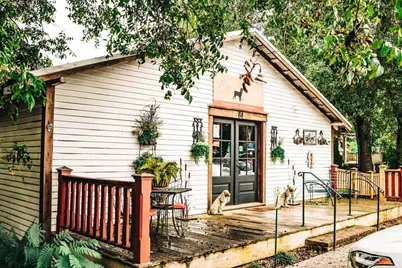 368 Scarlett Rose Way, Hoschton, GA 30548 - Photo 78