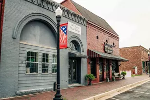 382 Scarlett Rose Way, Hoschton, GA 30548 - Photo 130